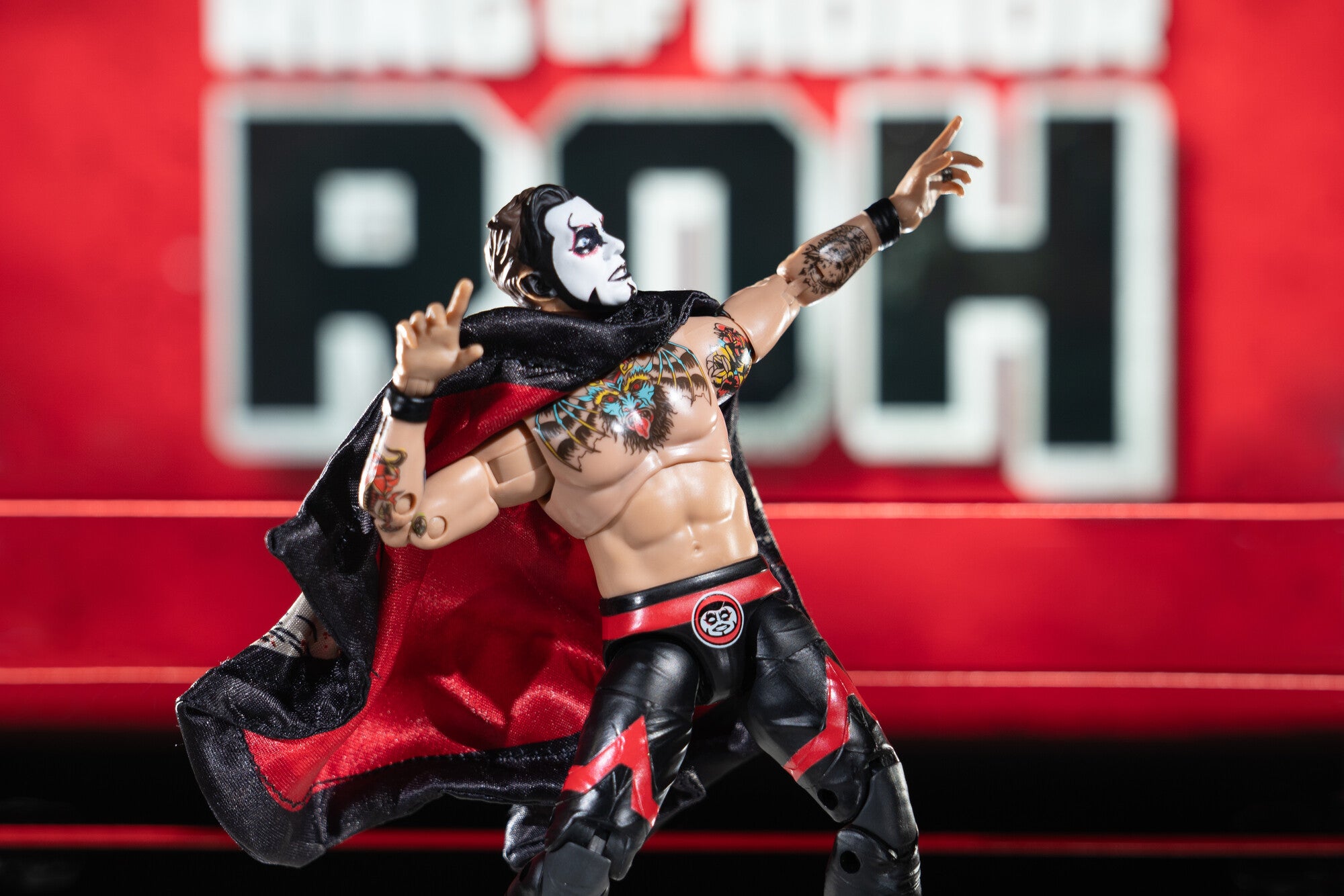 Ring of Honor Danhausen - Image 13