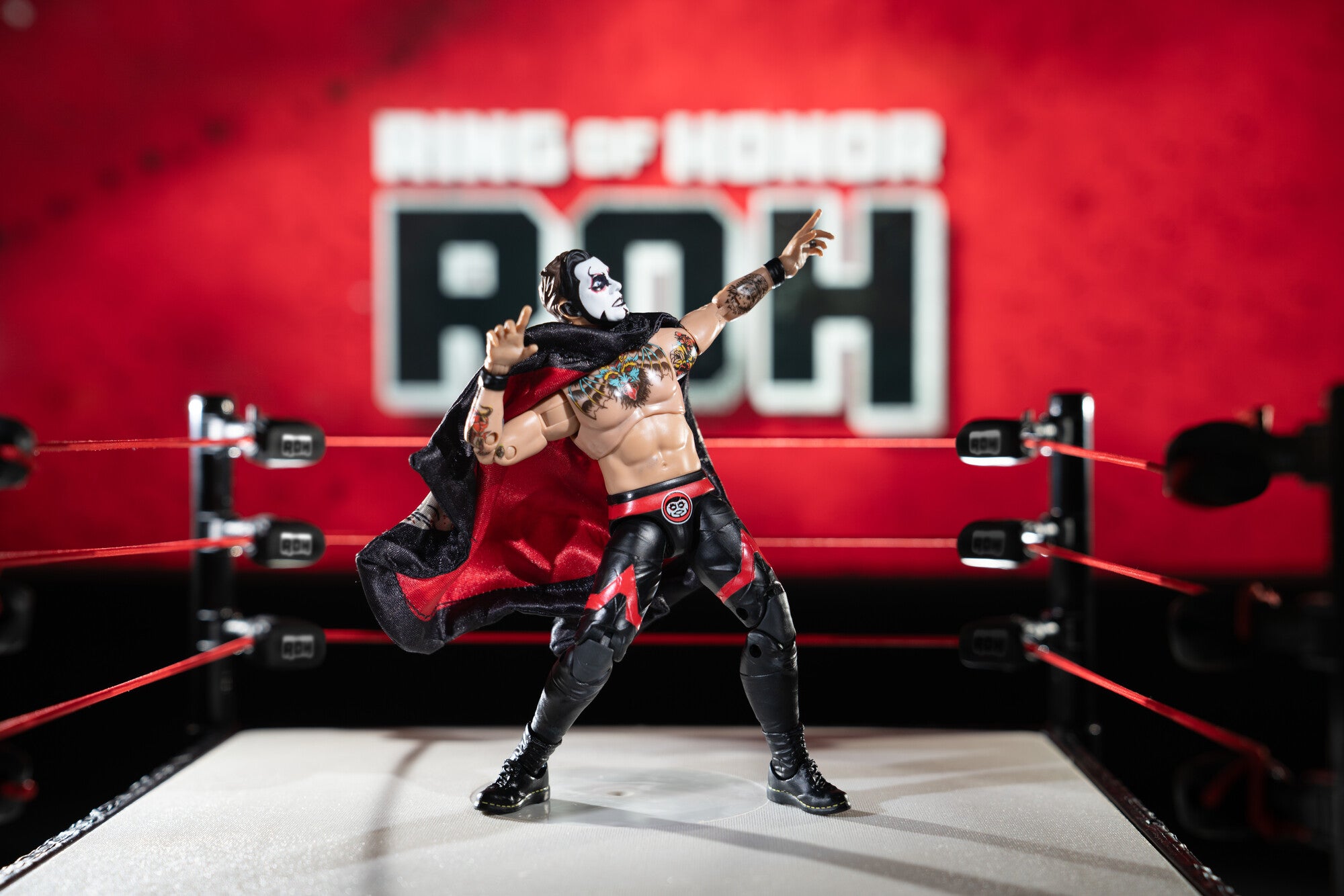 Ring of Honor Danhausen - Image 8