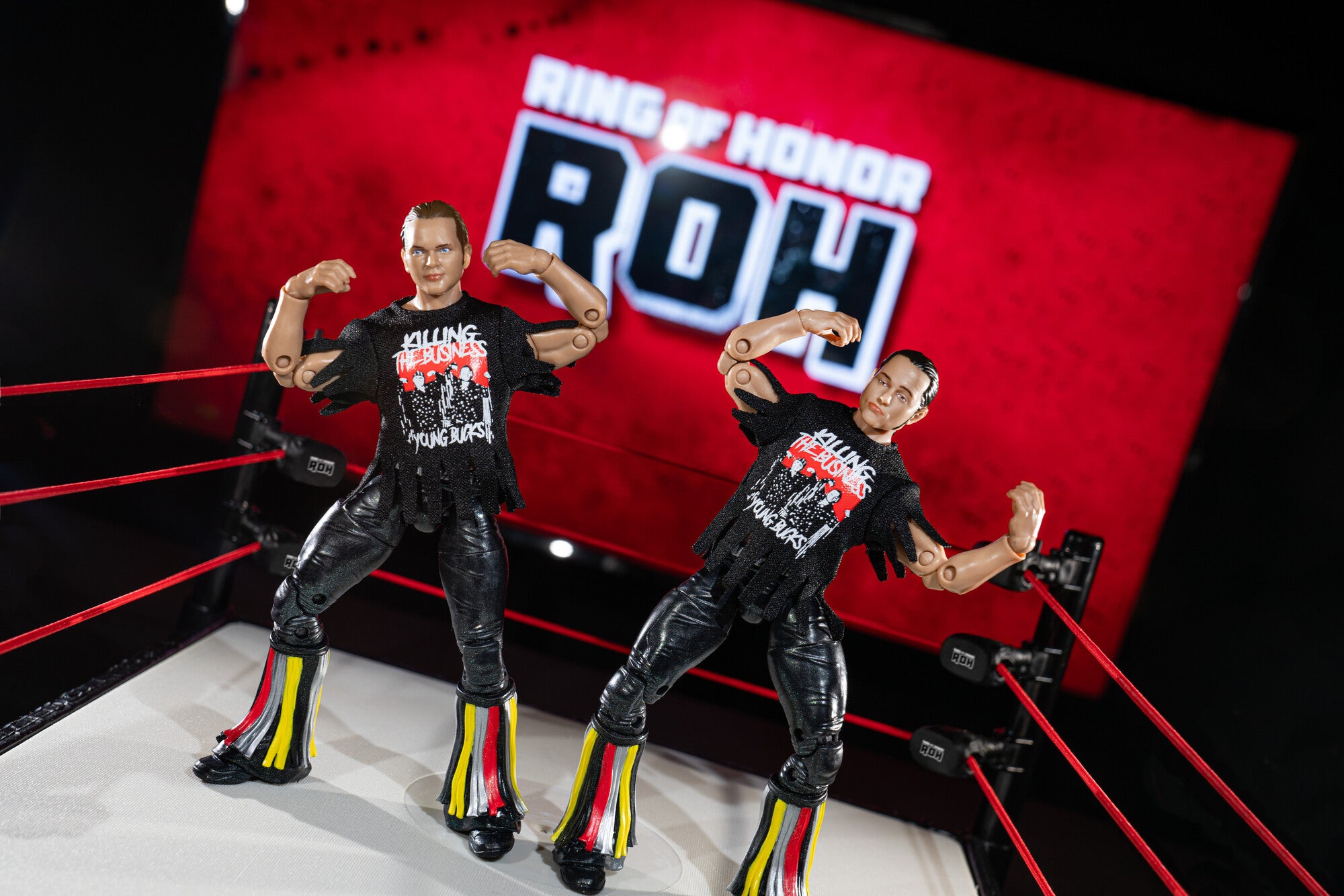 Ring of Honor The Young Bucks - Image 7