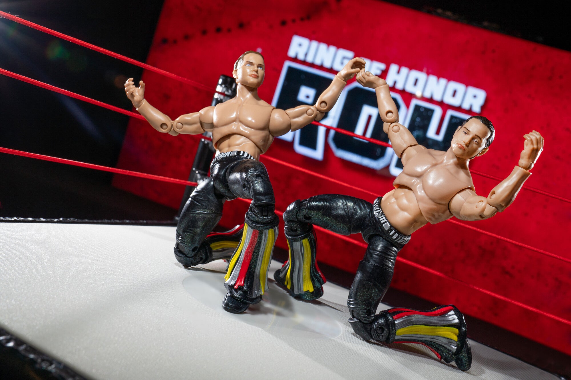 Ring of Honor The Young Bucks - Image 9