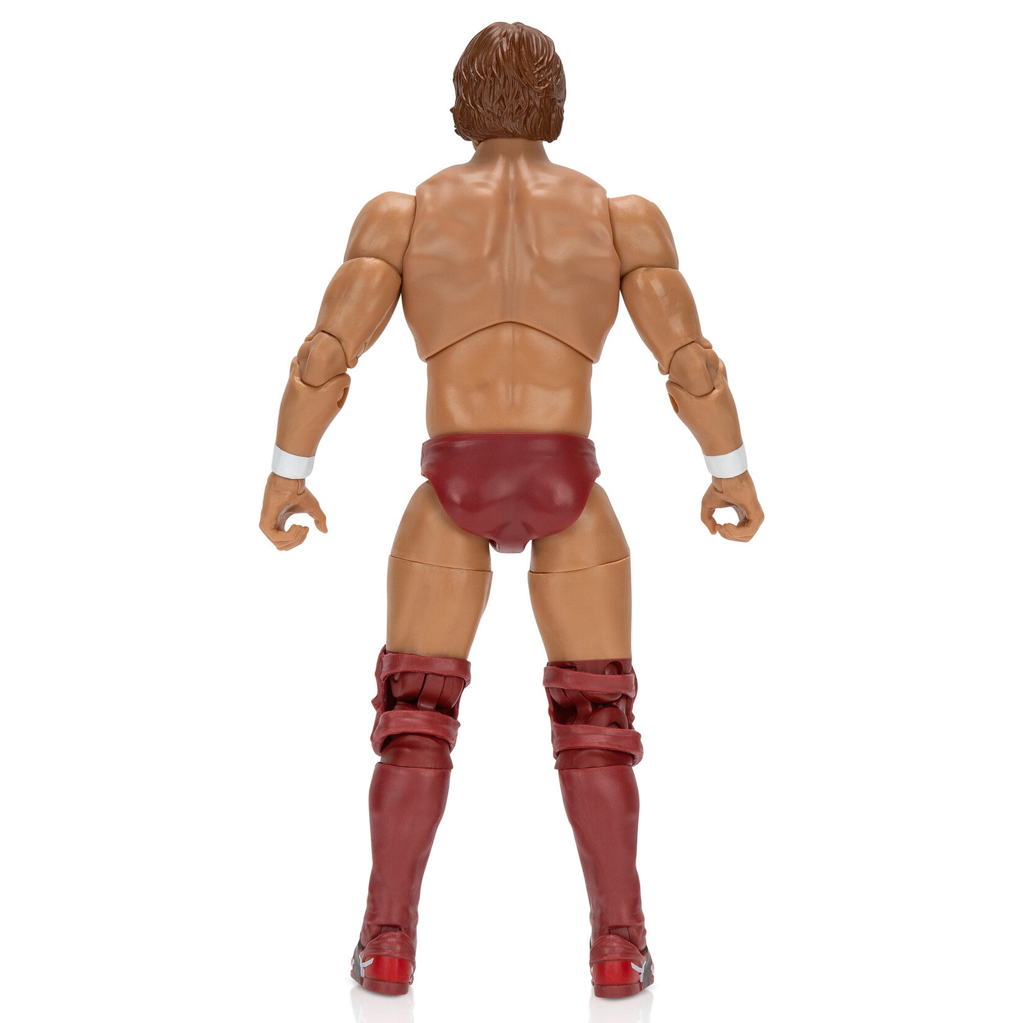 Ring of Honor Bryan Danielson - Image 12