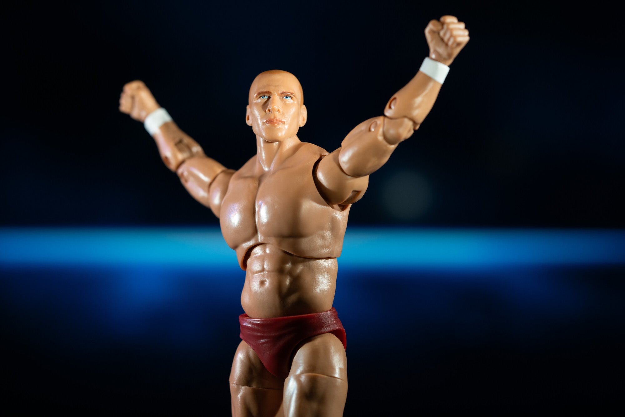 Ring of Honor Bryan Danielson - Image 5