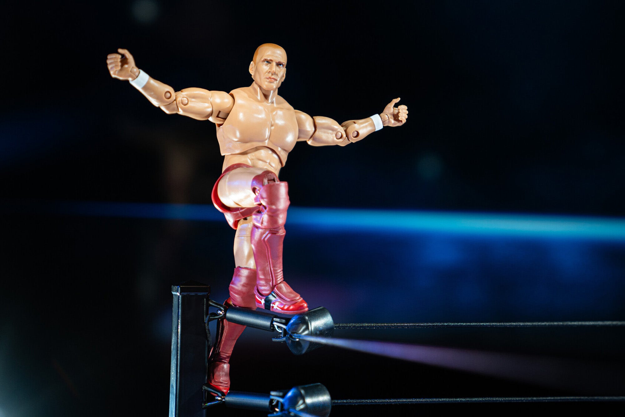 Ring of Honor Bryan Danielson - Image 7