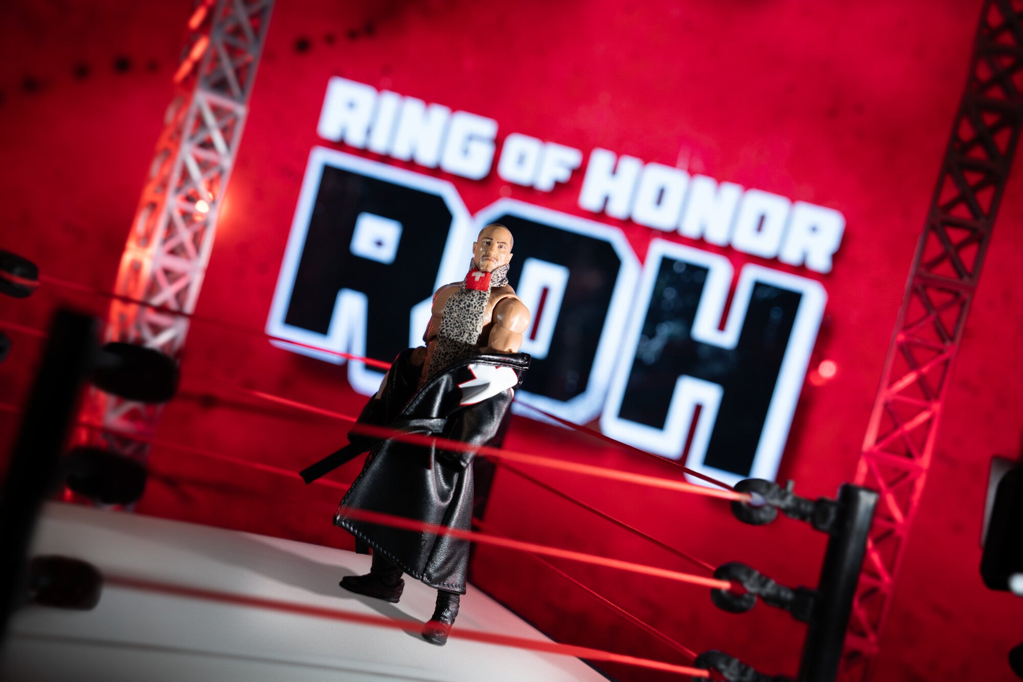 Ring of Honor Claudio Castagnoli - Image 12