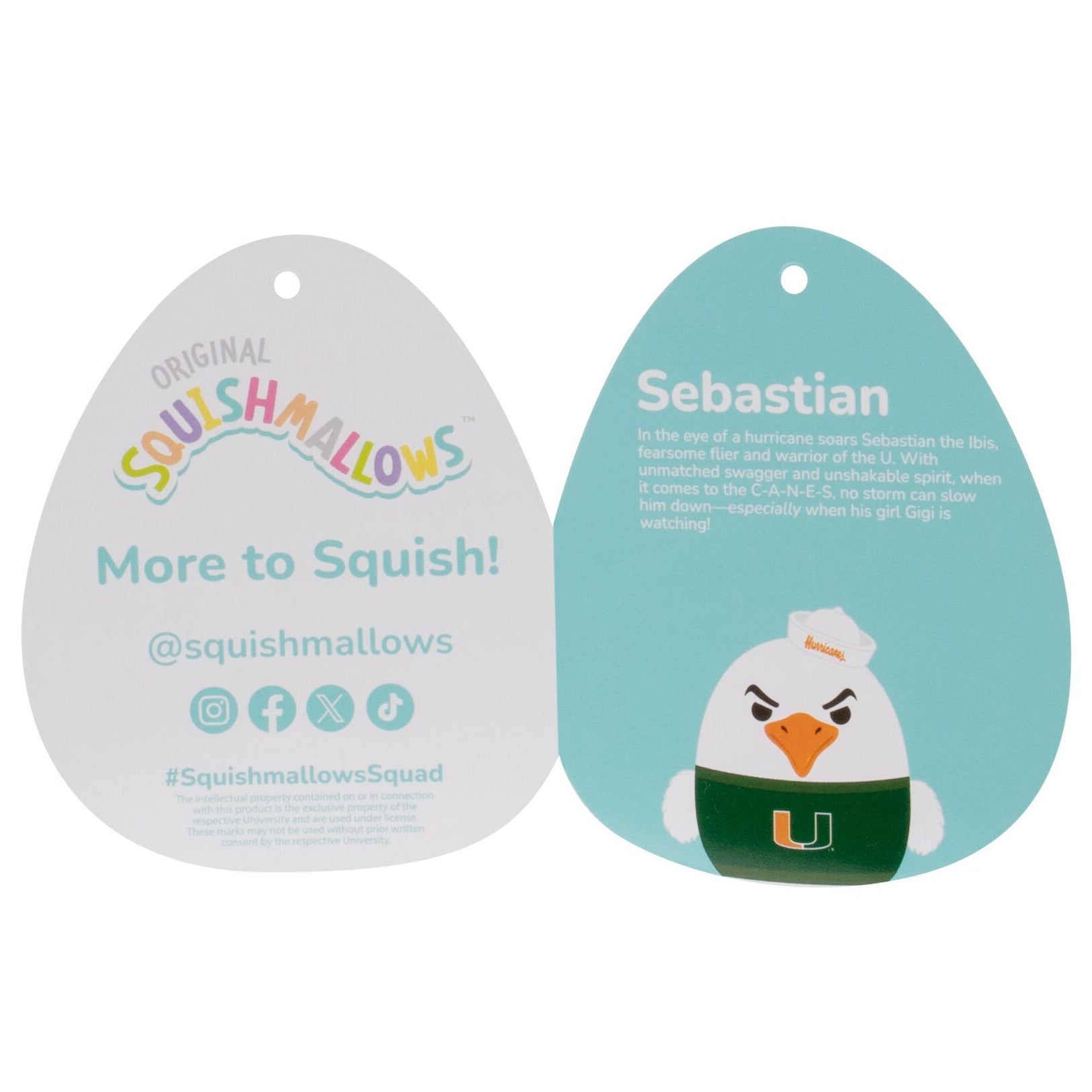 University of Miami 12-Inch Sebastian the Ibis - Image 7