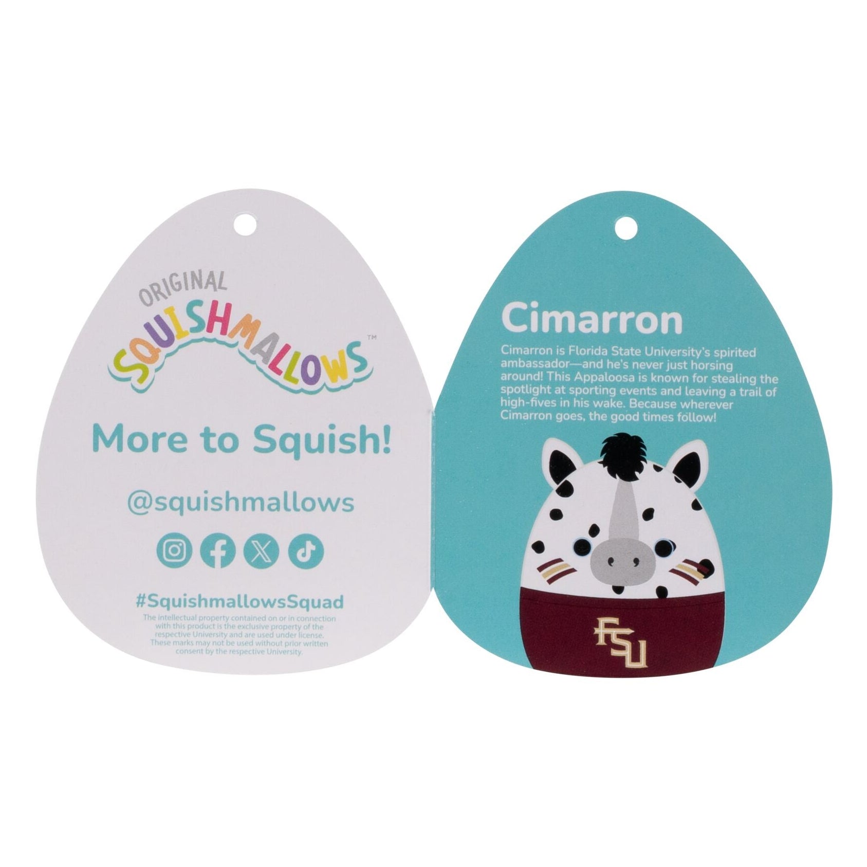Florida State University 12-Inch Cimarron - Image 7