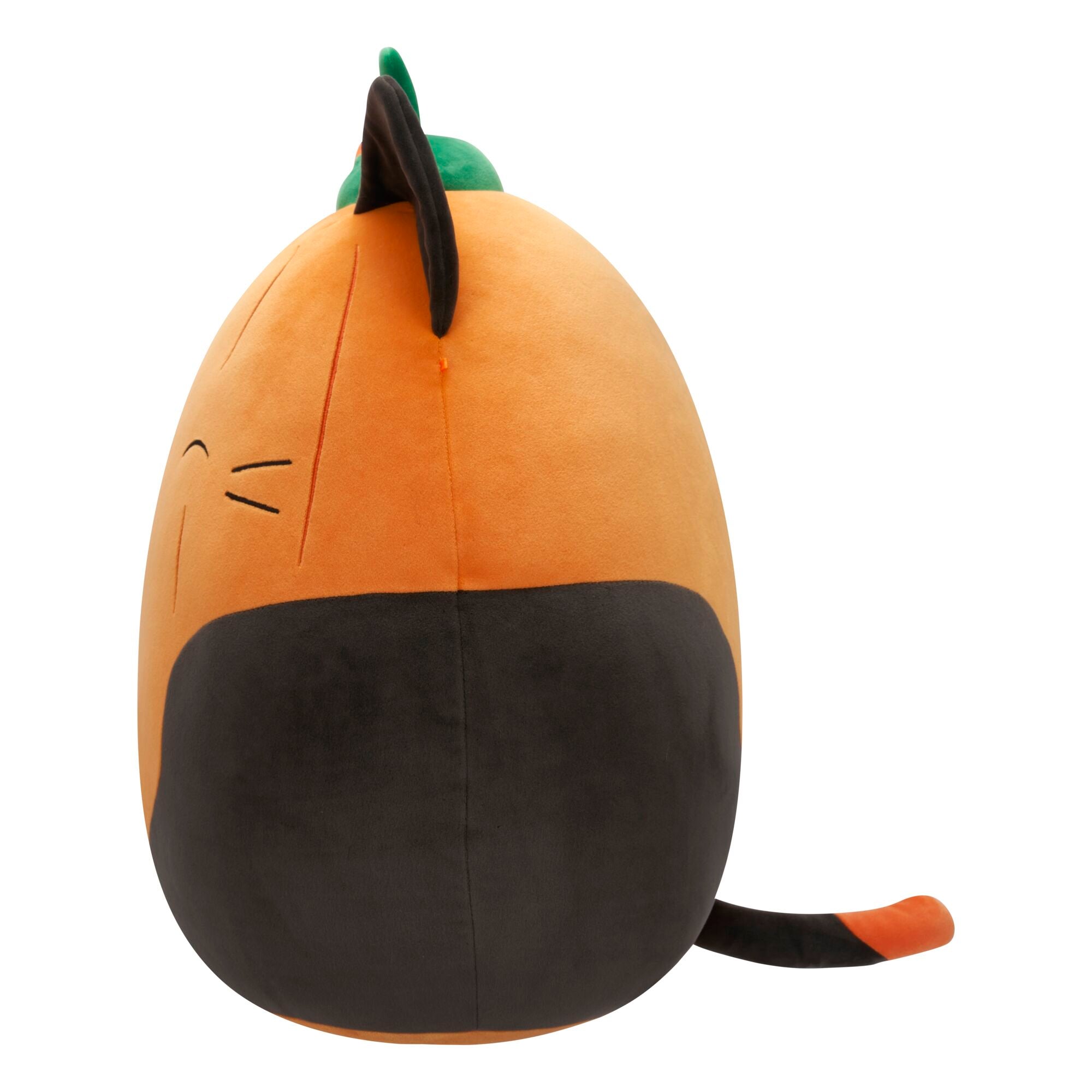Pumpkin Cam - Image 4