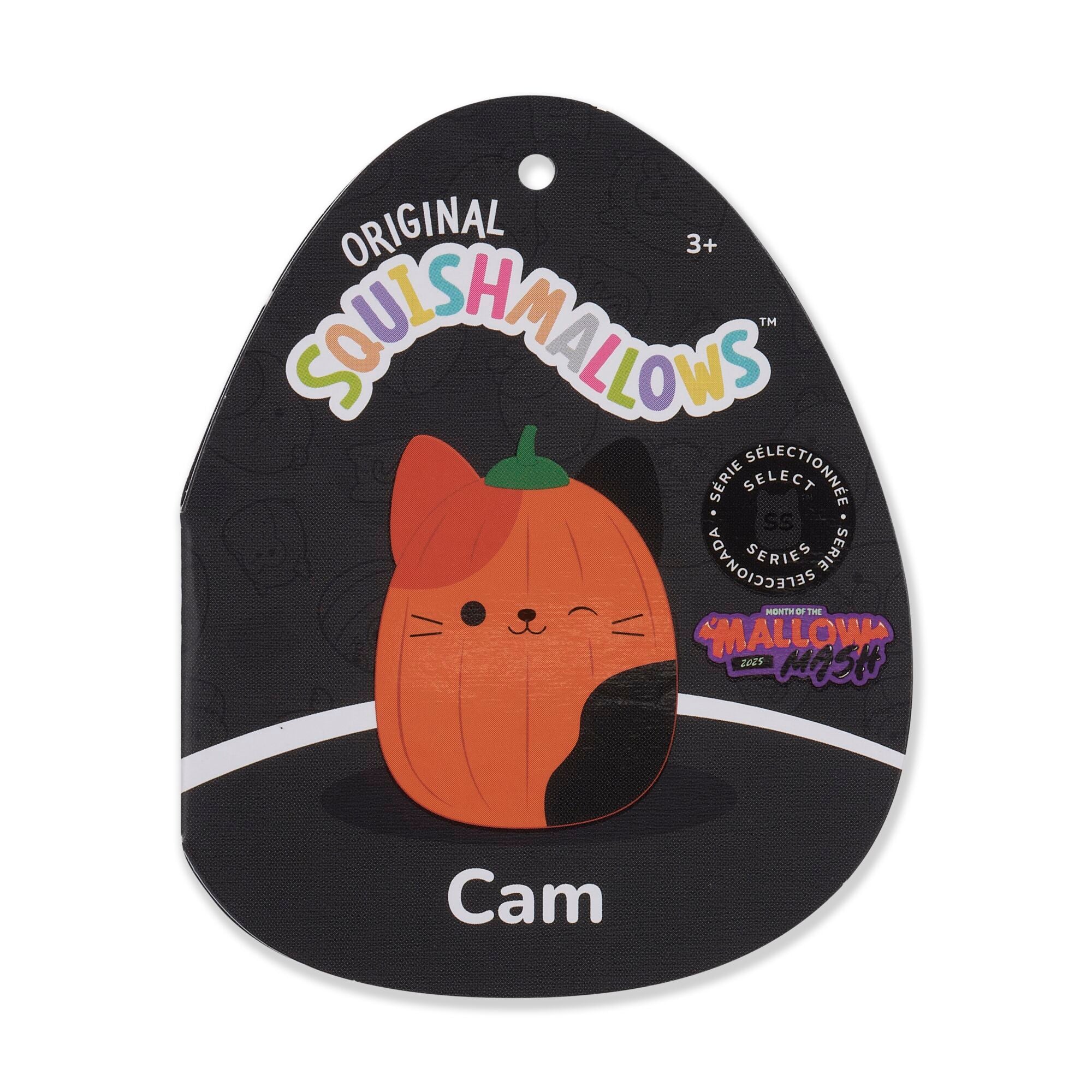 Pumpkin Cam - Image 6