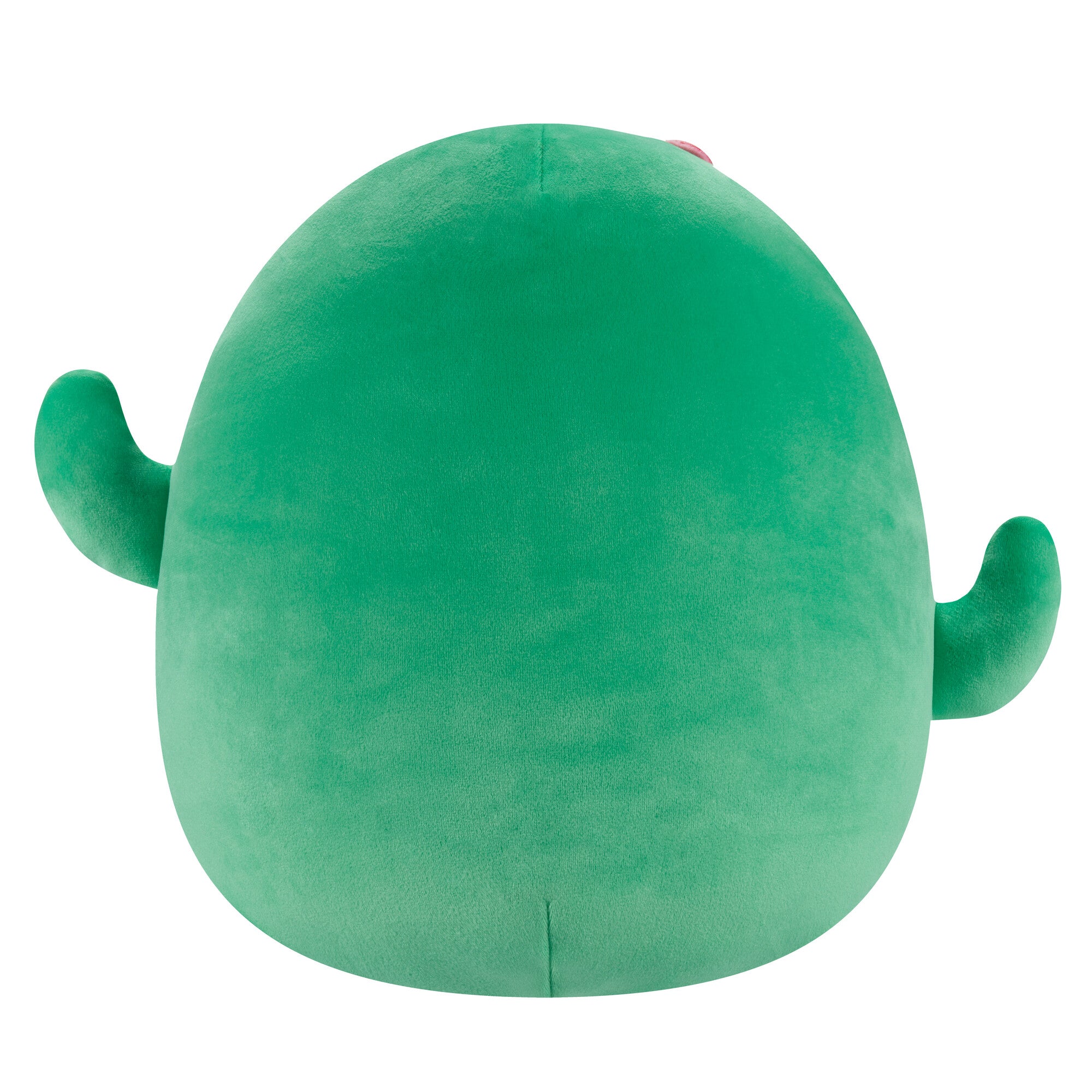 Maritza the Green Cactus - Image 3