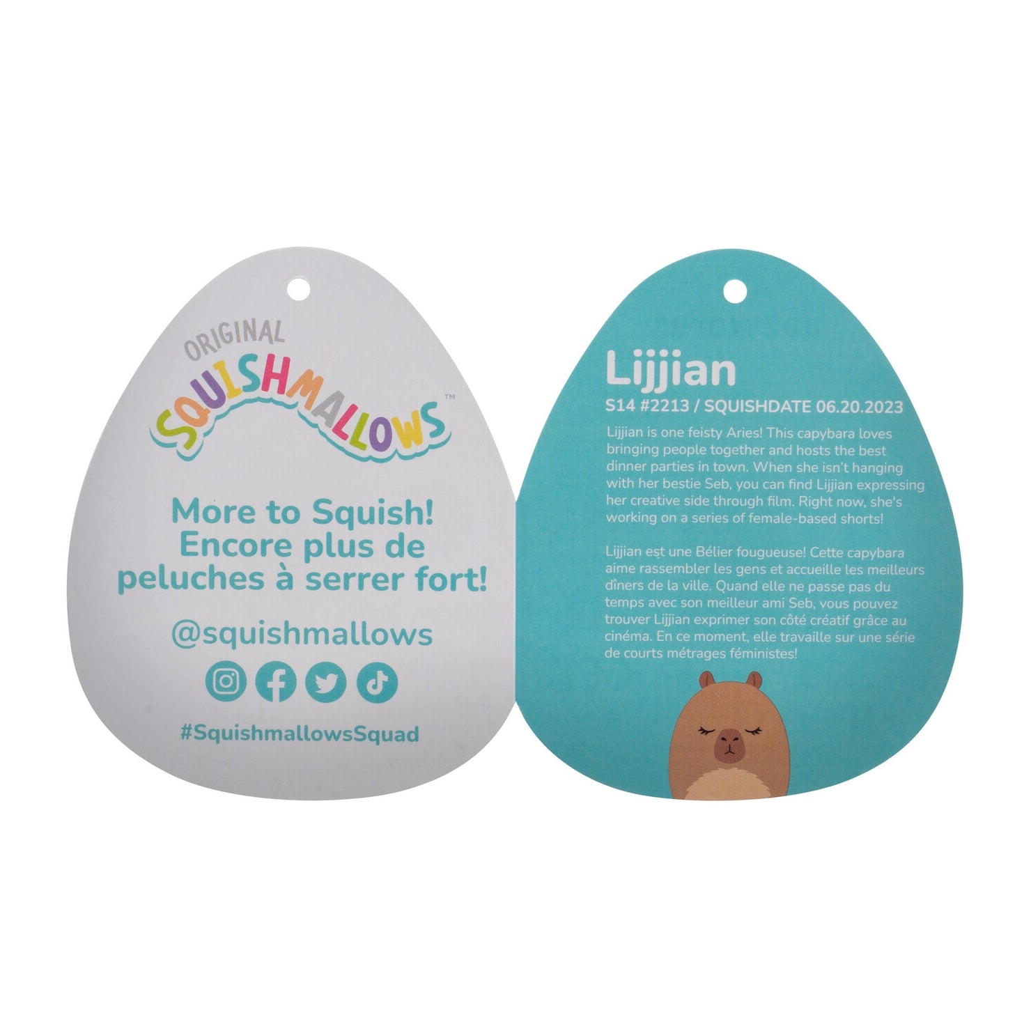 14-Inch Lijjian the Brown Capybara - Image 6