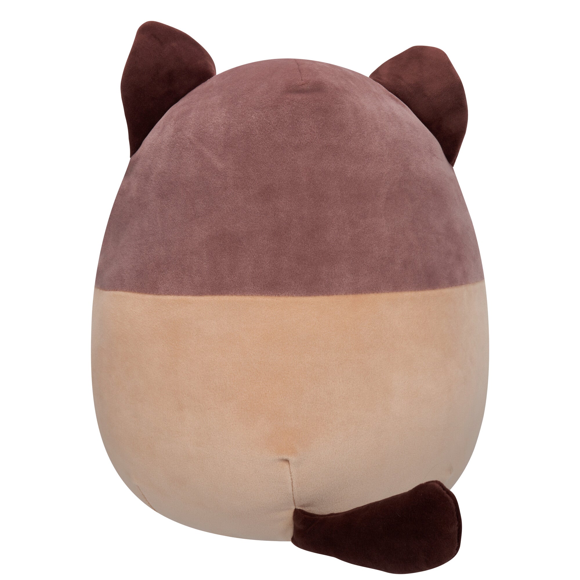16-Inch Woodward the Brown and Tan Snowshoe Cat - Image 4
