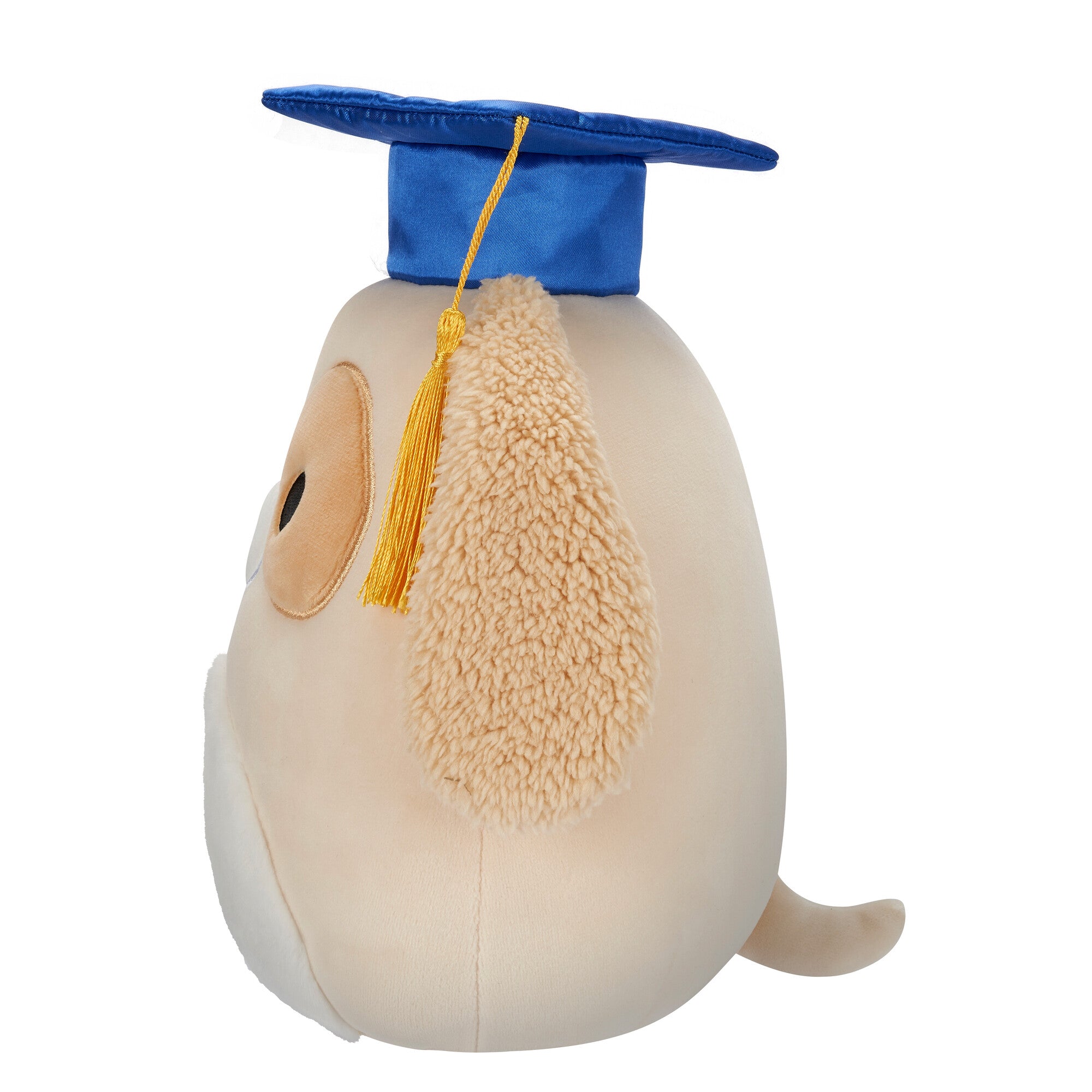 8-Inch Harris the Brown Spotted Dog in Graduation Cap - Image 3