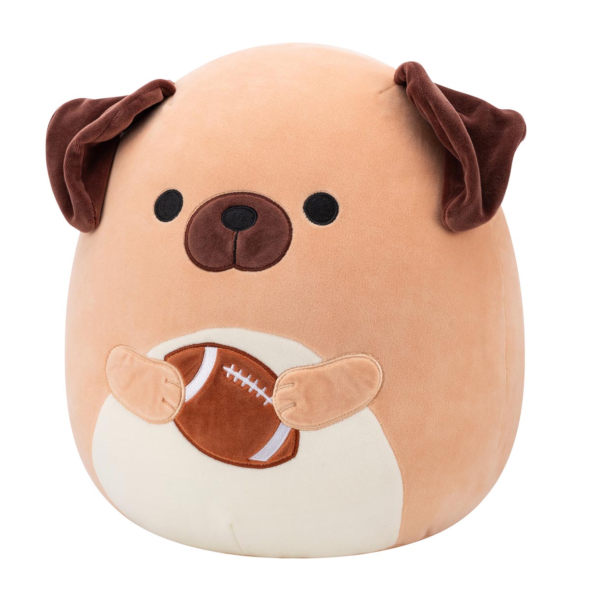 14-Inch Daryl the Brown Dog Holding Football - Image 2