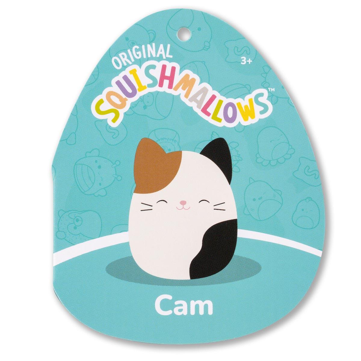 Cam the Calico Cat - Image 5