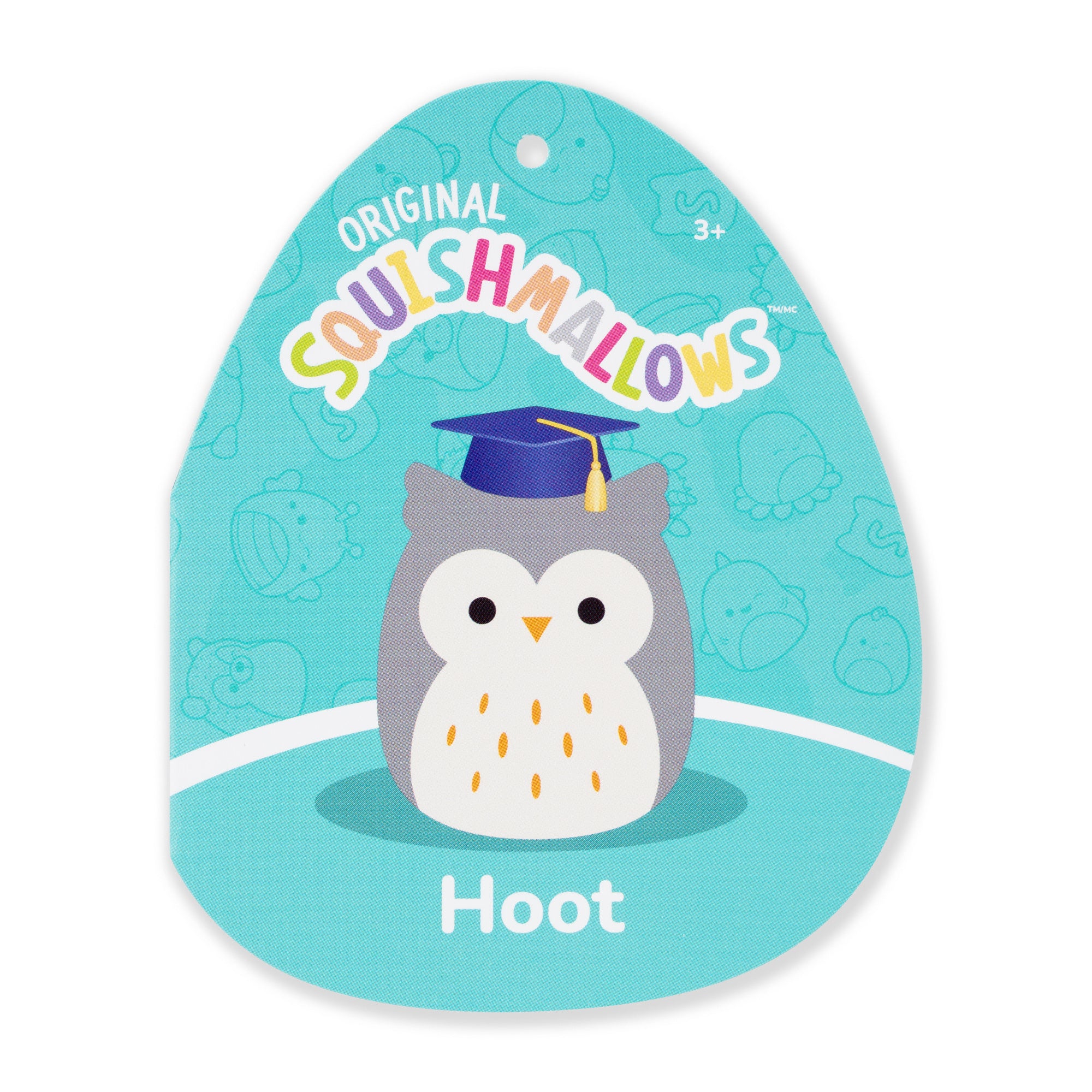 12-Inch Hoot the Grey Owl in Graduation Cap - Image 5
