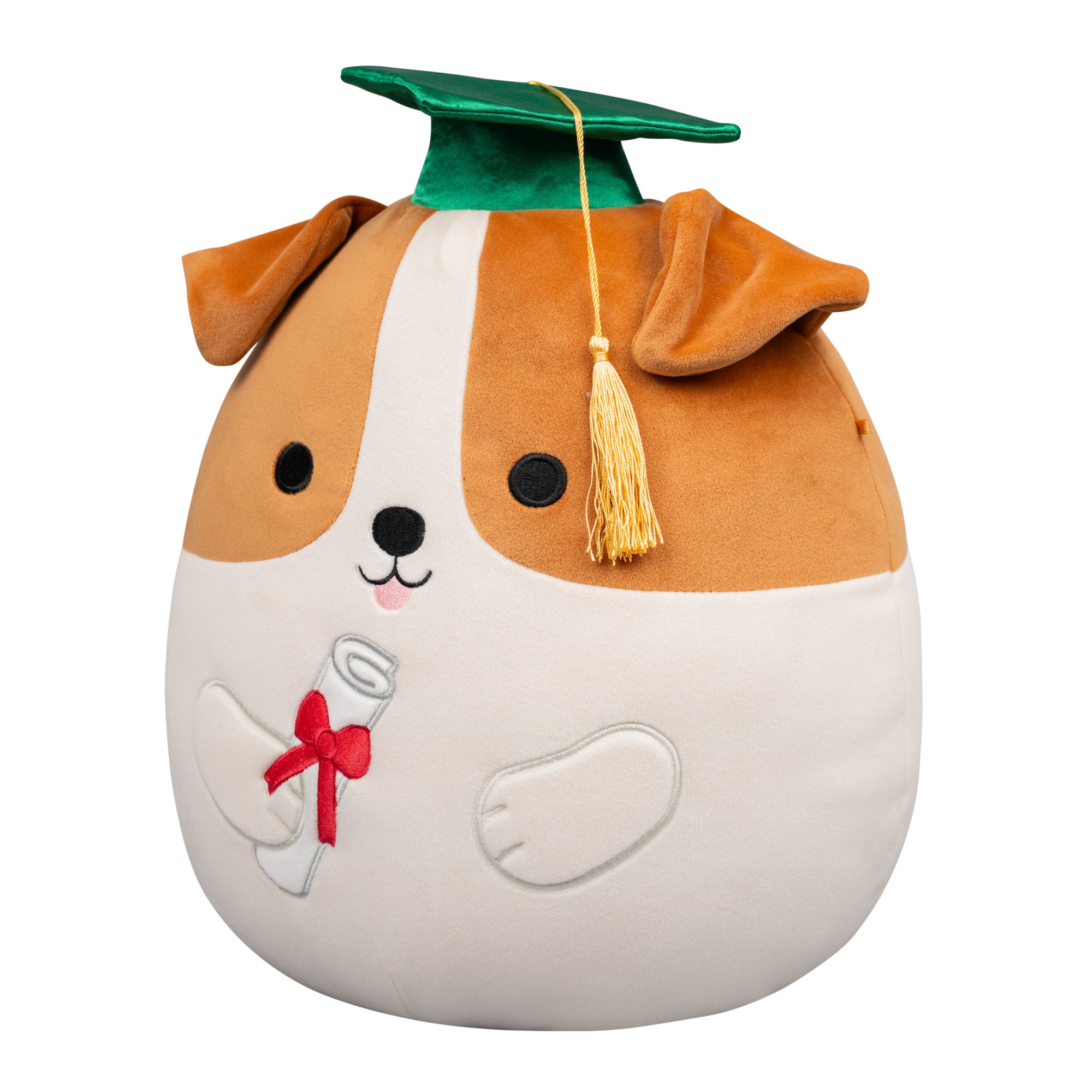12-Inch Brenden the Jack Russell Terrier in Graduation Cap - Image 2