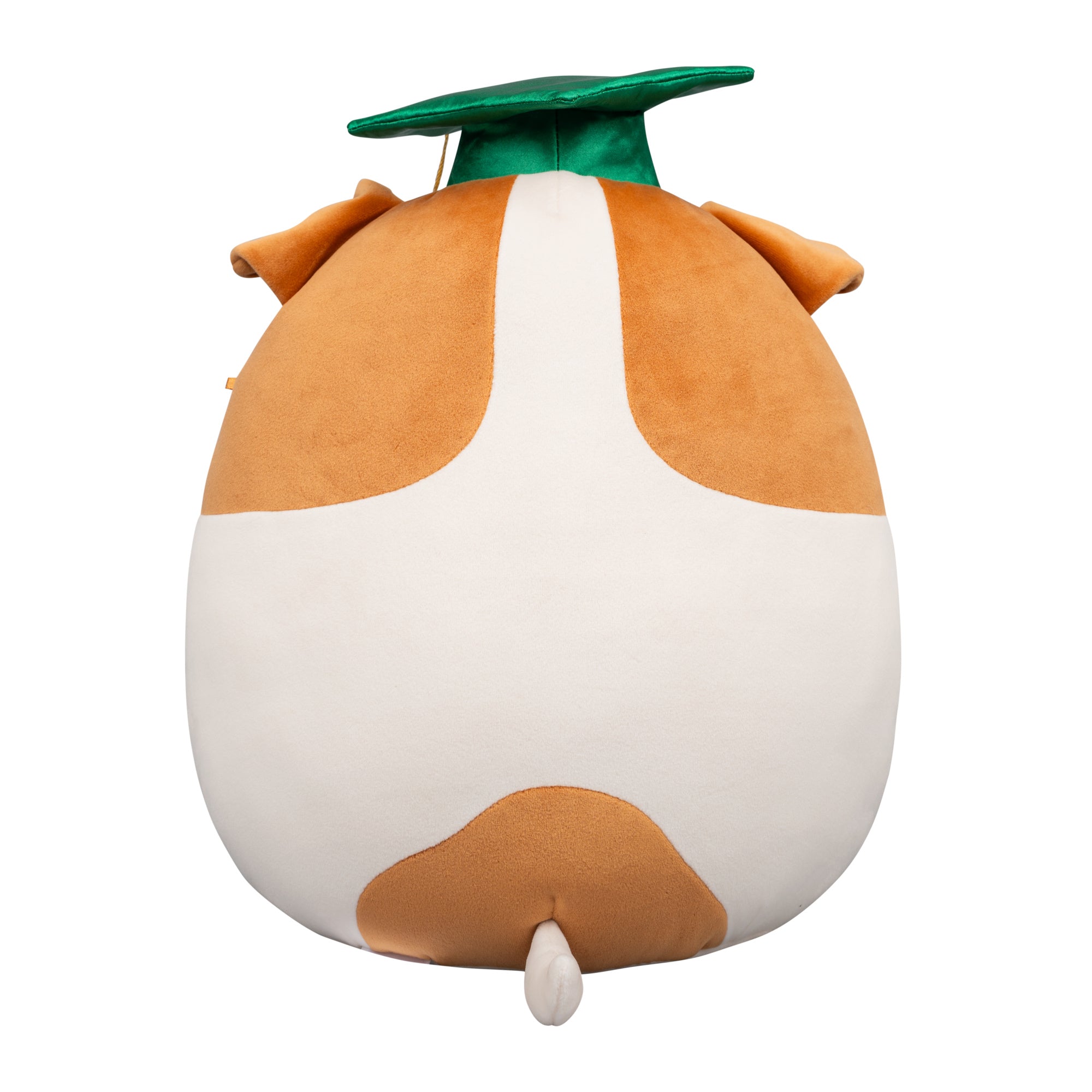 12-Inch Brenden the Jack Russell Terrier in Graduation Cap - Image 4