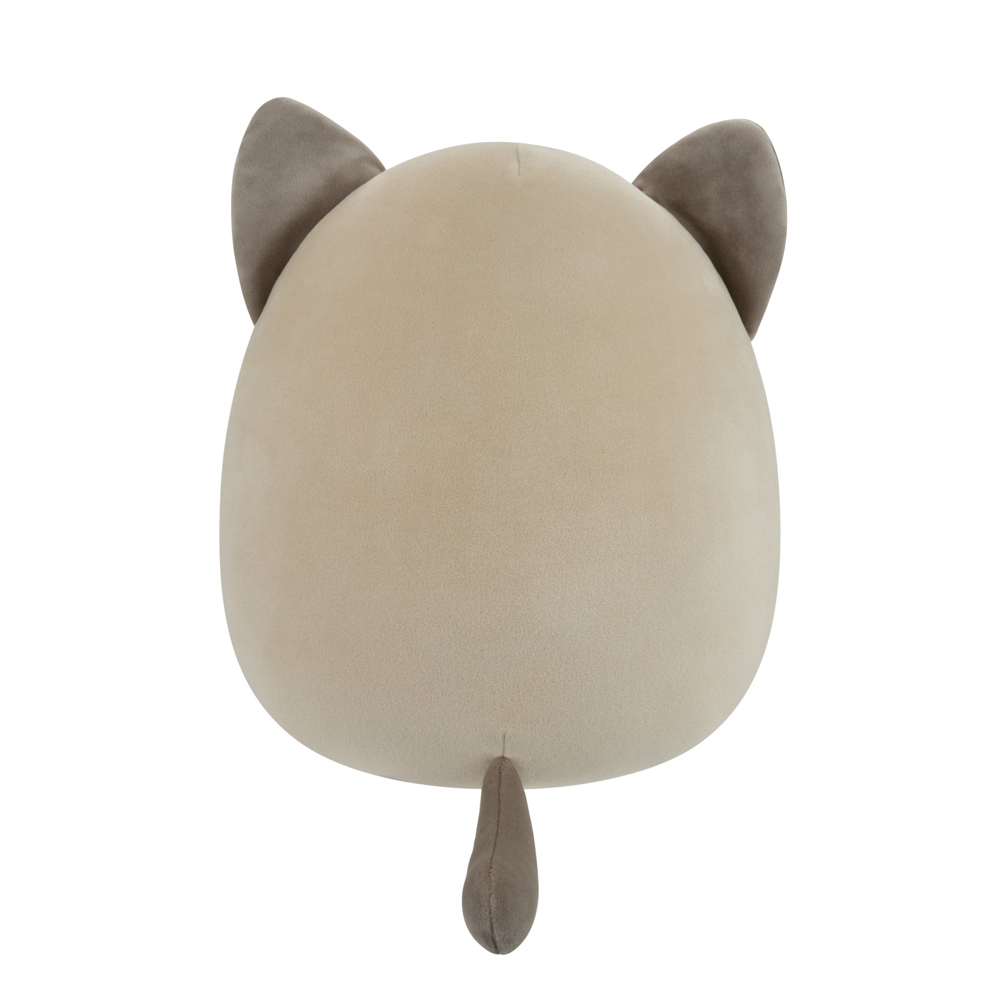 12-Inch Felton the Siamese Cat Holding Heart Churro - Image 4